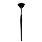 Fan Brush