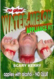 Michael Davy - Scary Kerry scar kit