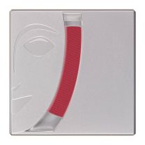 Blusher 2.5g