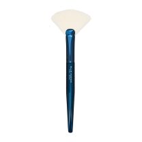 Blue Master Fan Brush