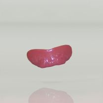 Billy Bob Teeth - Gums