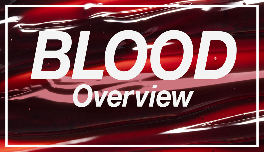 Blood overview
